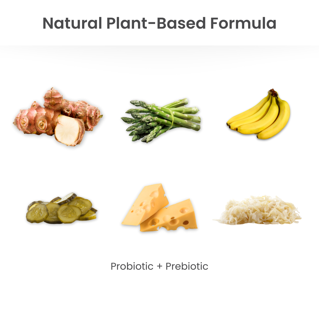 Probiotic & Prebiotic